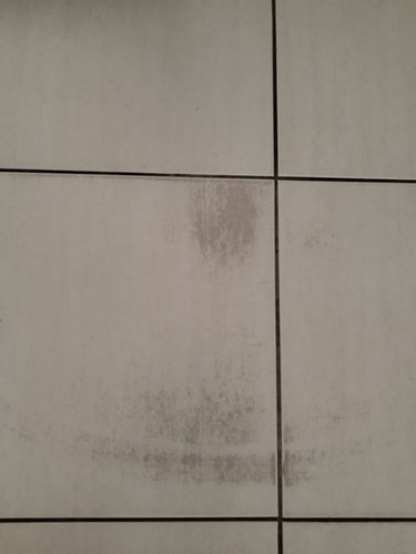 IMG_20230426_154442.jpg IMG_20230426_154442.jpg