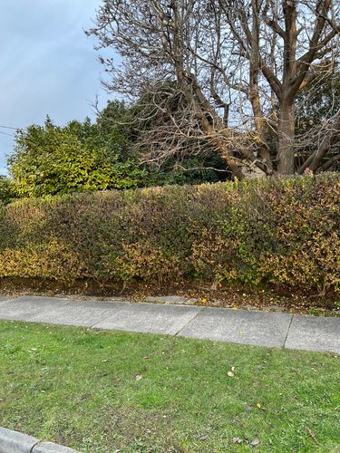 33F2DC35-1BEF-4FFB-BB8B-4FB44A80A1C1.jpeg 33F2DC35-1BEF-4FFB-BB8B-4FB44A80A1C1.jpeg