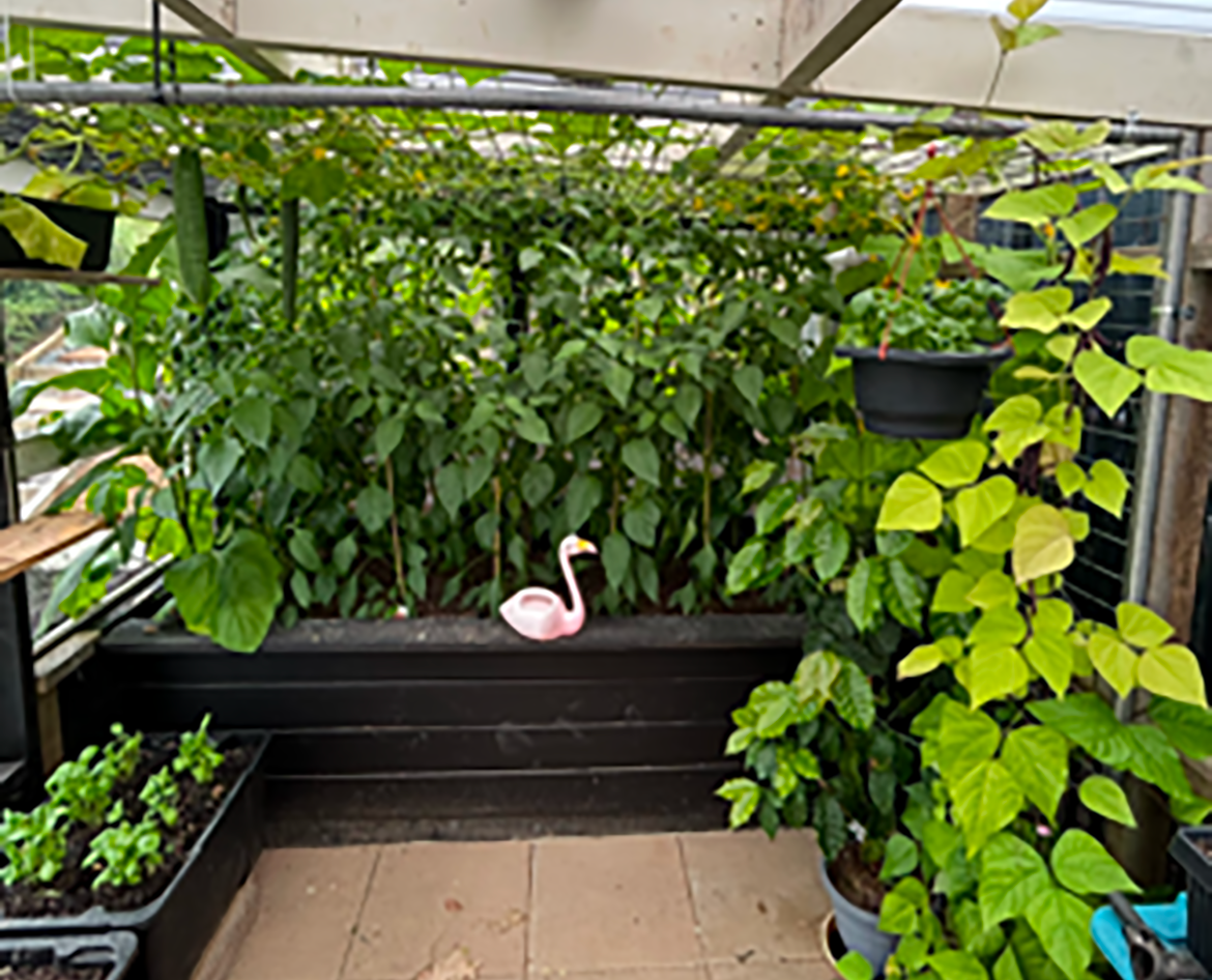 IMG_4192 (1).PNG IMG_4192 (1).PNG