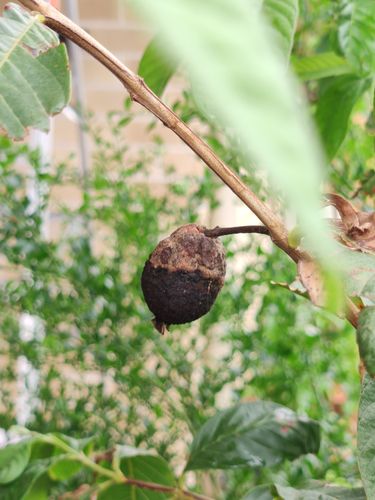 IMG_20200308_113710.jpg IMG_20200308_113710.jpg