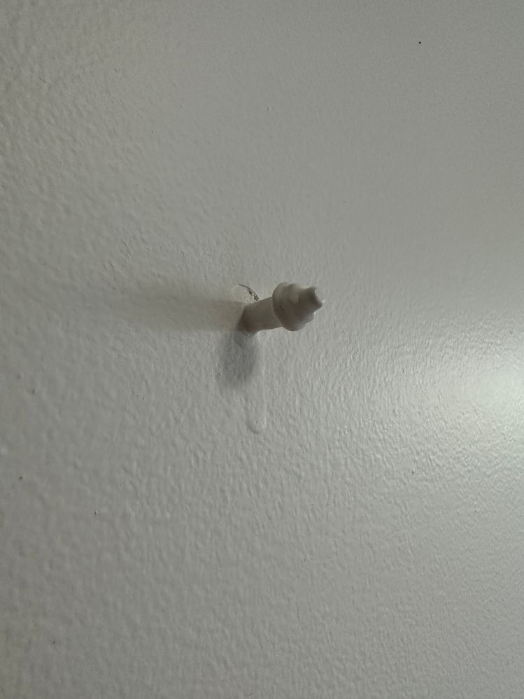 IMG_4031.JPG IMG_4031.JPG