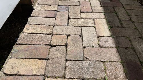 IMG_0413.jpg IMG_0413.jpg