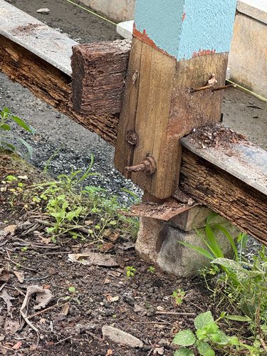 IMG_3346.jpeg IMG_3346.jpeg