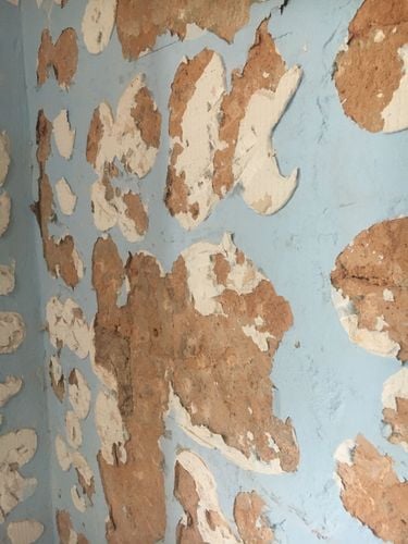 4F9C7802-E8F9-498C-AF96-87FEA7356F29.jpeg 4F9C7802-E8F9-498C-AF96-87FEA7356F29.jpeg