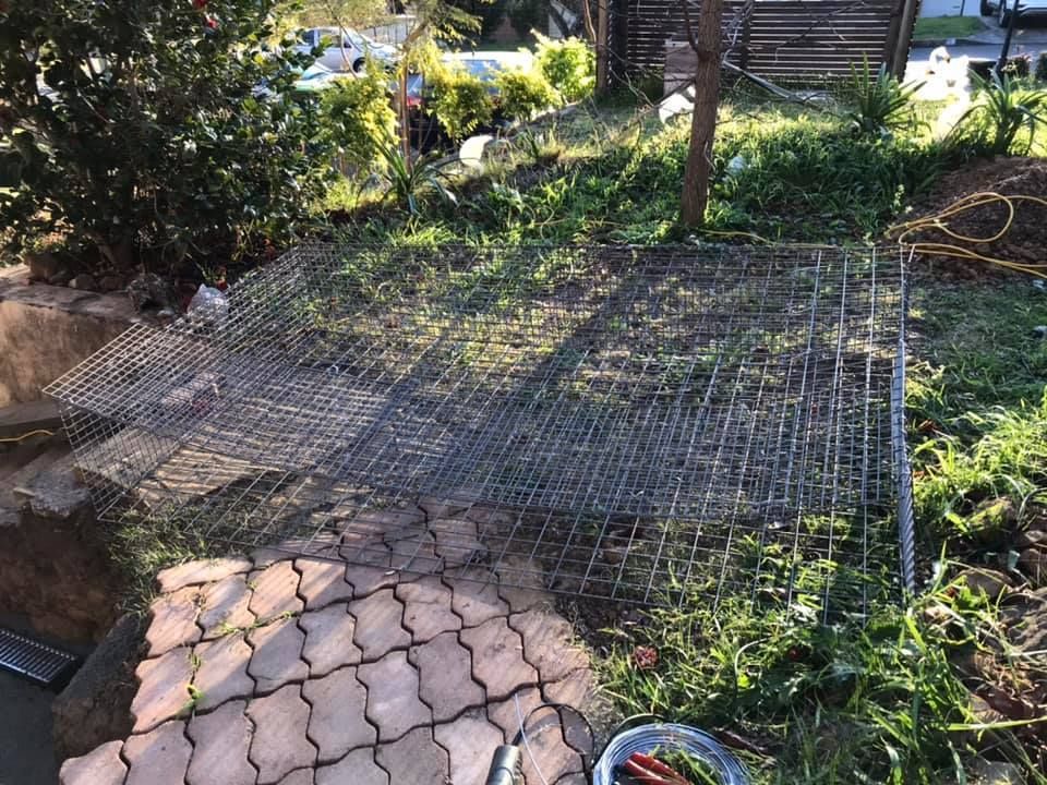 15 07-08-2021.jpg 15 07-08-2021.jpg