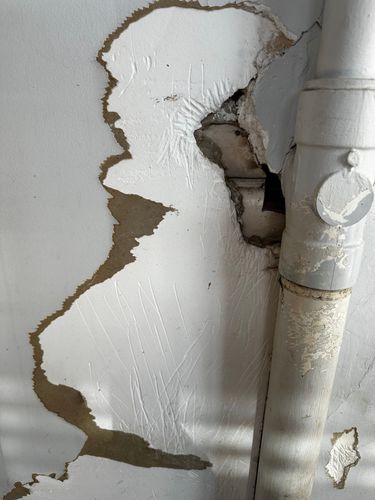 IMG_0099.jpeg IMG_0099.jpeg