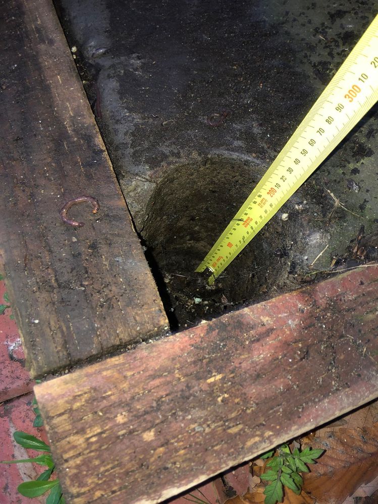 448226699_1393710991321345_7619131745797004161_n.jpg 448226699_1393710991321345_7619131745797004161_n.jpg