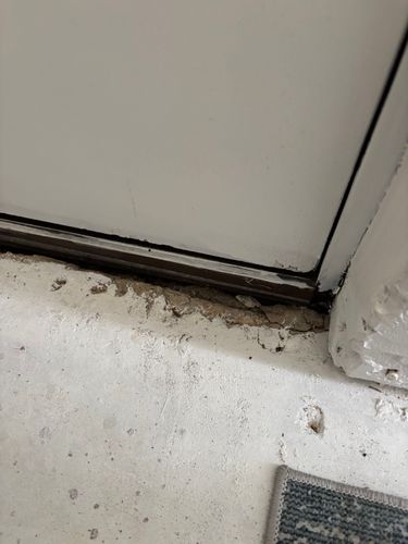 IMG_7857.jpeg IMG_7857.jpeg