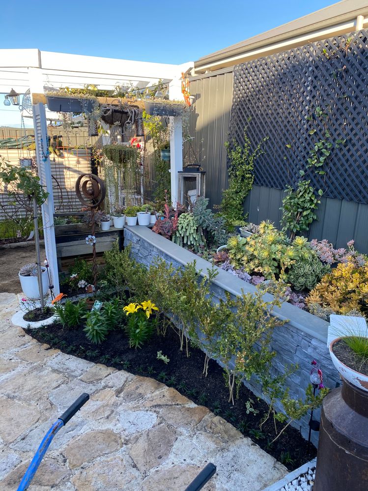 8B355B10-84E0-4B2A-853A-9BA334515A8E.jpeg 8B355B10-84E0-4B2A-853A-9BA334515A8E.jpeg