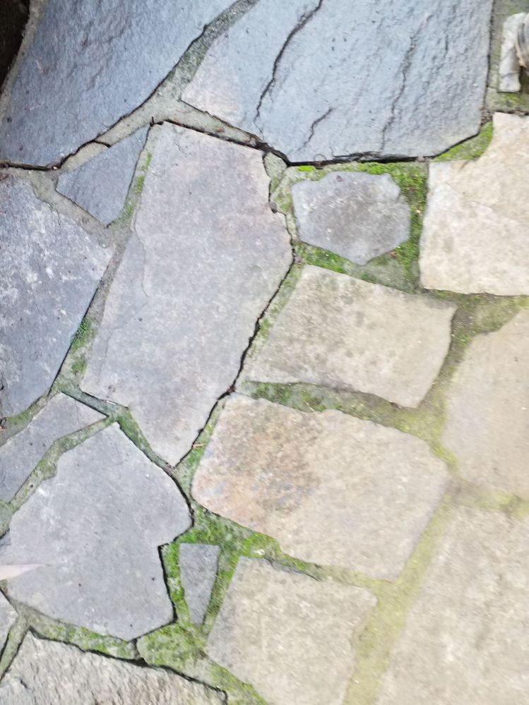 How to fix slate crazy paving cracks? - Bunnings Workshop community