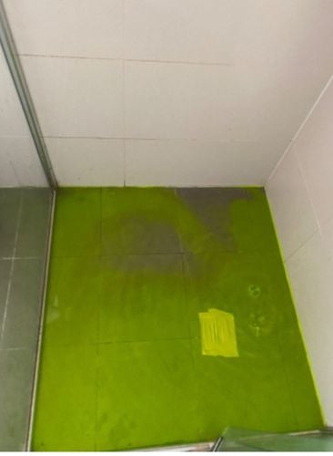 IMG_9717.jpeg IMG_9717.jpeg