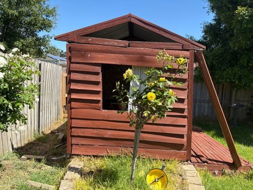 IMG_0370.jpeg IMG_0370.jpeg