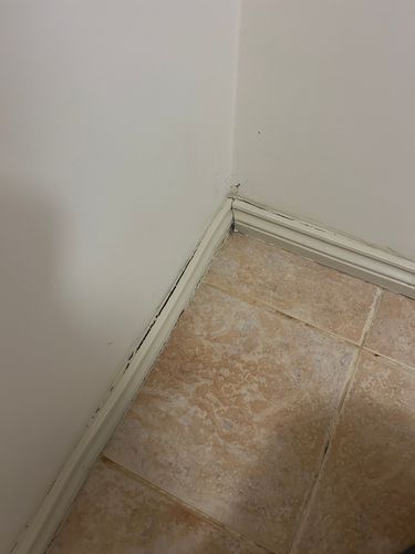 IMG_0913.jpeg IMG_0913.jpeg