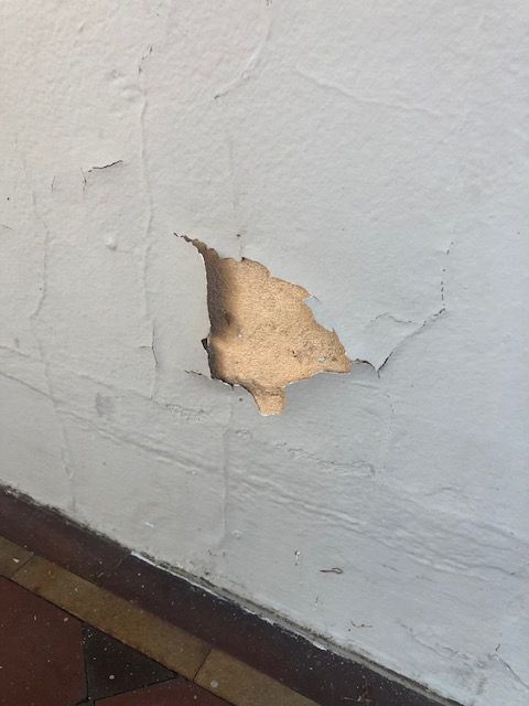 IMG_5119.jpg IMG_5119.jpg