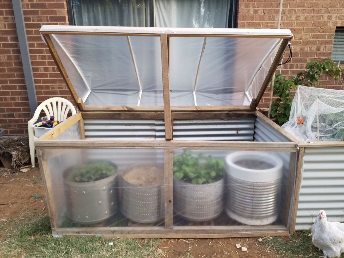 20200502_170749.jpg 20200502_170749.jpg