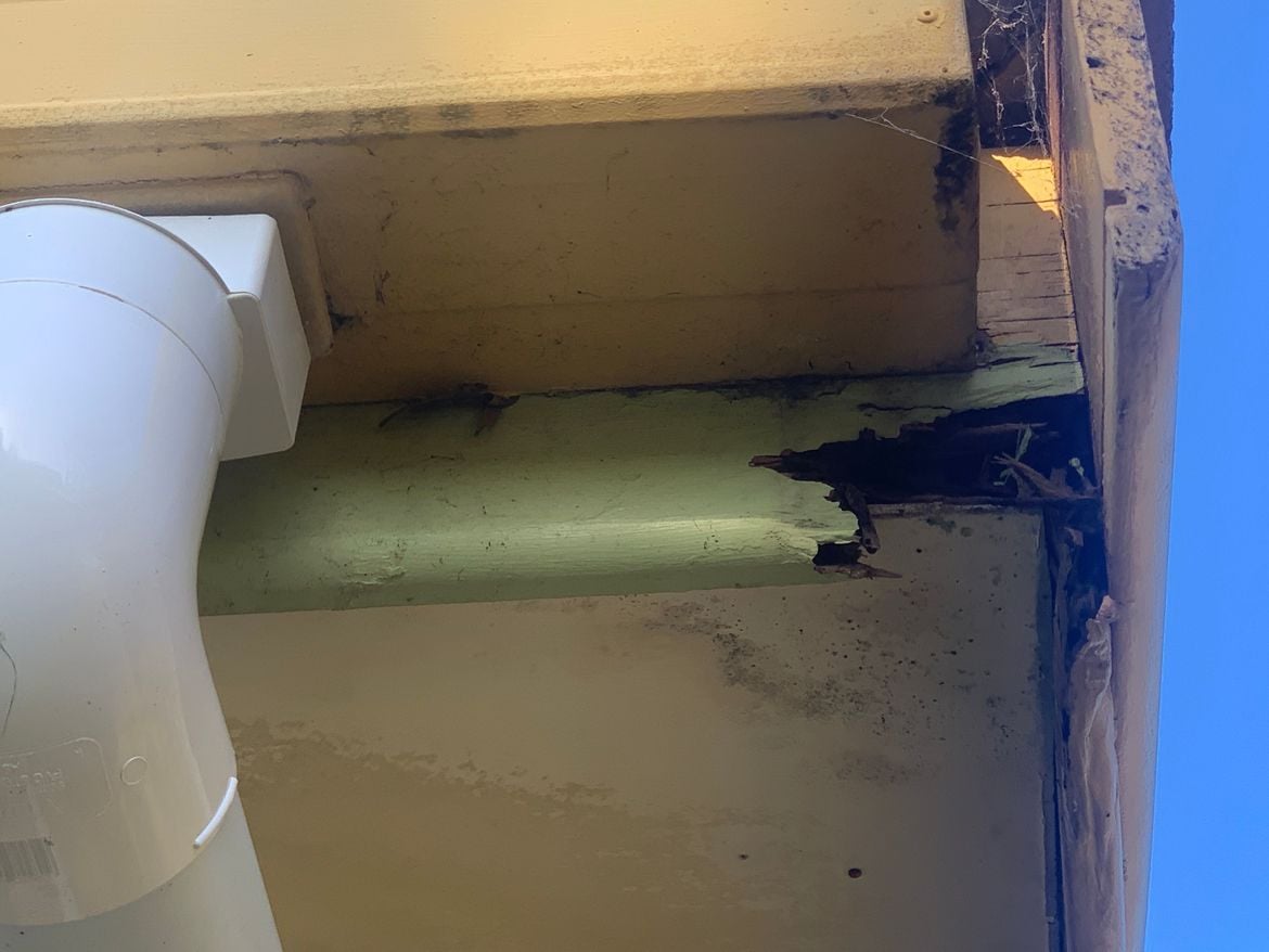 IMG_4395.JPG IMG_4395.JPG