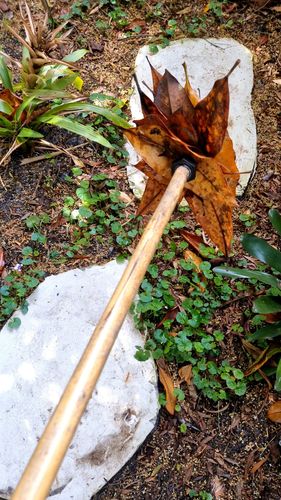 1000021289.jpg 1000021289.jpg