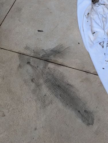 1000007599.jpg 1000007599.jpg