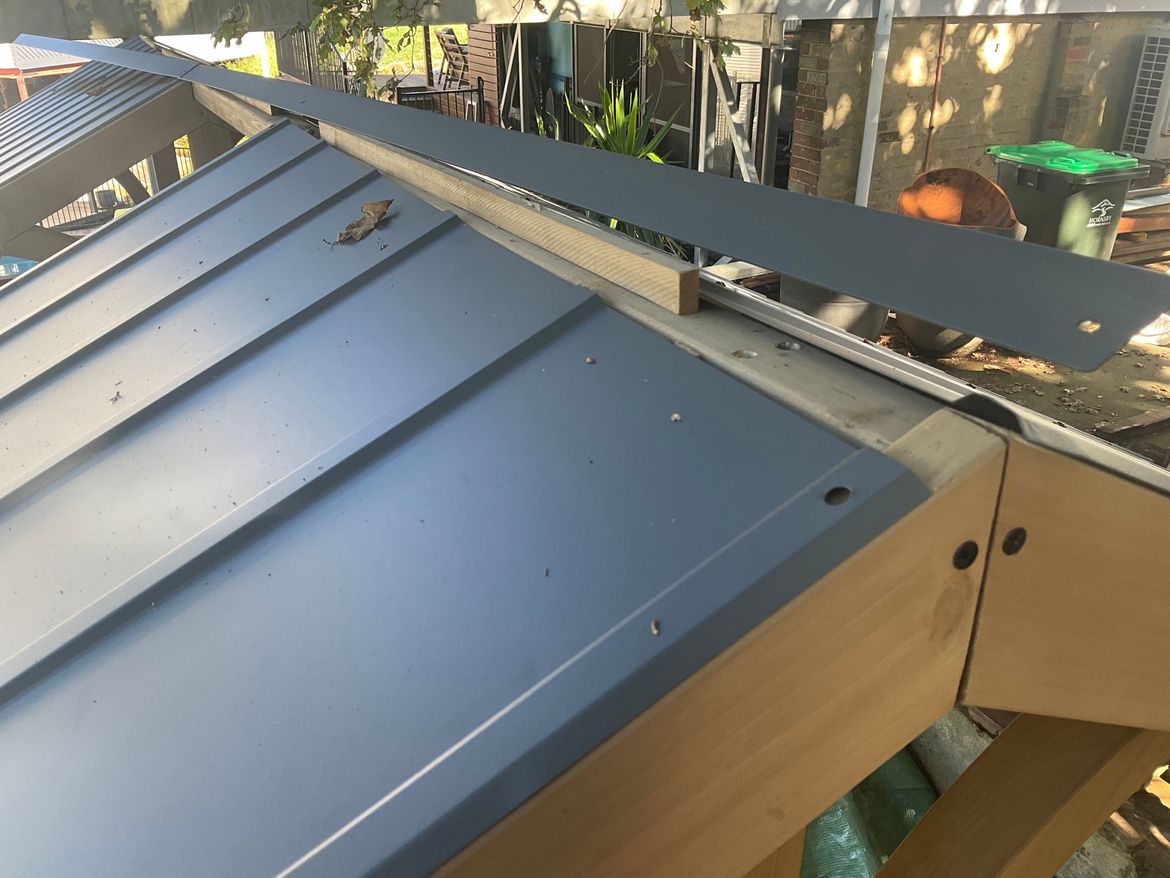 IMG_2629.jpeg IMG_2629.jpeg