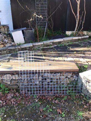 59 14-07-2024.jpg 59 14-07-2024.jpg