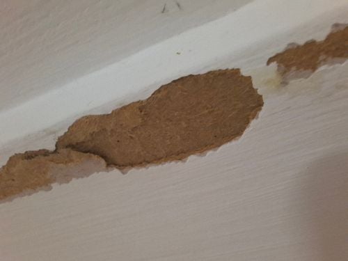 1000005372.jpg 1000005372.jpg