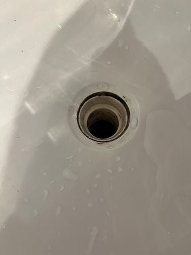 IMG_8607.jpeg IMG_8607.jpeg