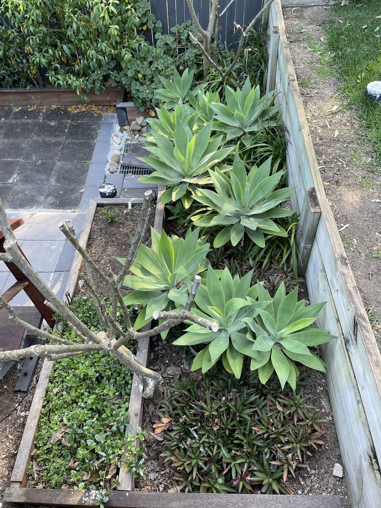 IMG_9447.jpg IMG_9447.jpg