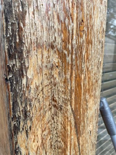 IMG_6838.jpeg IMG_6838.jpeg