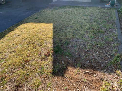 9D87A1E8-101B-4289-95B4-7C5EC28CC024.jpeg 9D87A1E8-101B-4289-95B4-7C5EC28CC024.jpeg