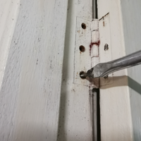 1.3 Removing hinge screws.png 1.3 Removing hinge screws.png