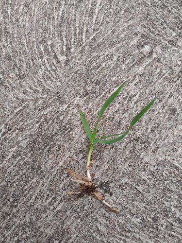 20240925_081642.jpg 20240925_081642.jpg