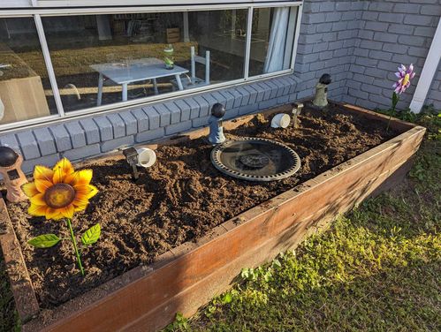 419517231_696990692580898_769681283103717485_n.jpg 419517231_696990692580898_769681283103717485_n.jpg