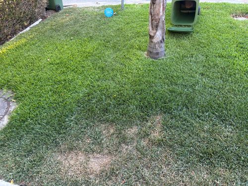 IMG_3955.jpeg IMG_3955.jpeg