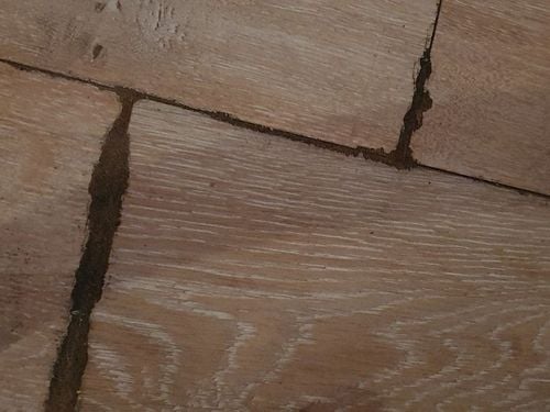 20230619_111951.jpg 20230619_111951.jpg