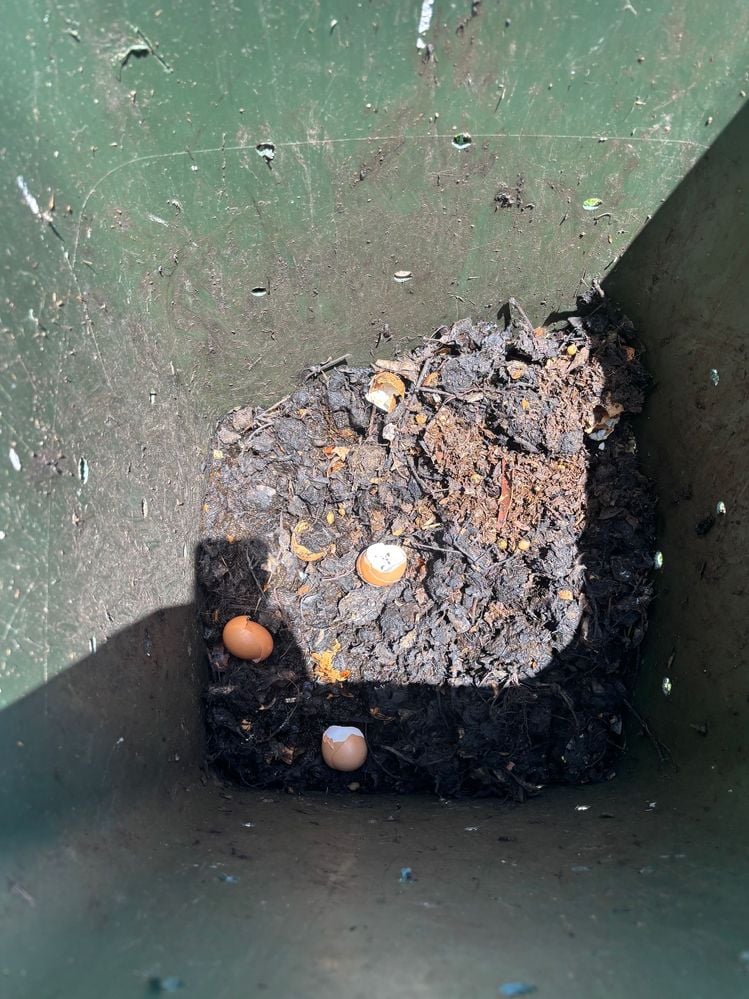 IMG_5487.jpg IMG_5487.jpg