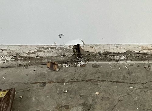 IMG_0869.jpeg IMG_0869.jpeg