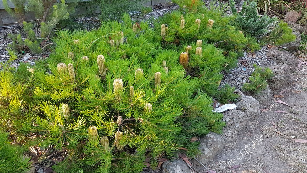 20190319_173229.jpg 20190319_173229.jpg