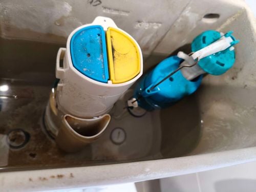 1000016806.jpg 1000016806.jpg