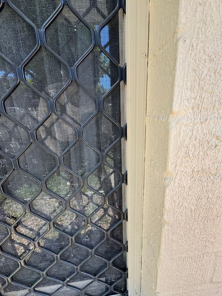 window3.jpeg window3.jpeg