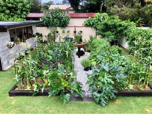 A41024FA-DACC-4443-AF98-57DF2E1B0E4A.jpeg A41024FA-DACC-4443-AF98-57DF2E1B0E4A.jpeg