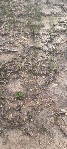 1000169725.jpg 1000169725.jpg