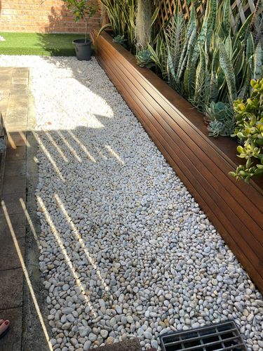 IMG_7295.jpeg IMG_7295.jpeg