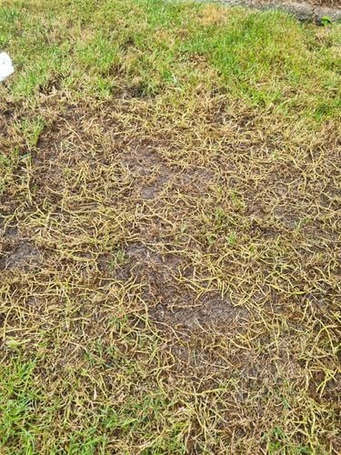 1000010048.jpg 1000010048.jpg