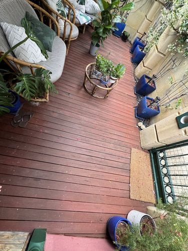 IMG_9514.jpeg IMG_9514.jpeg