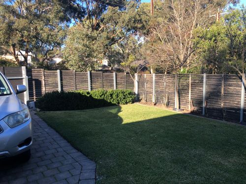 IMG_8110.jpeg IMG_8110.jpeg