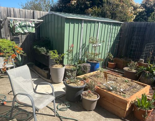 IMG_3774.jpeg IMG_3774.jpeg