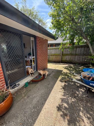 IMG_9678.jpeg IMG_9678.jpeg