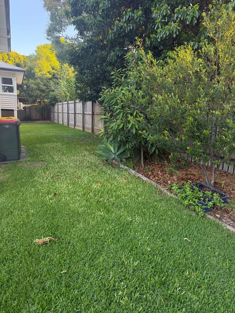 IMG_1127.jpeg IMG_1127.jpeg