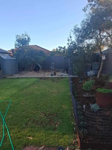 1000007181.jpg 1000007181.jpg