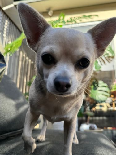 IMG_3328.jpeg IMG_3328.jpeg